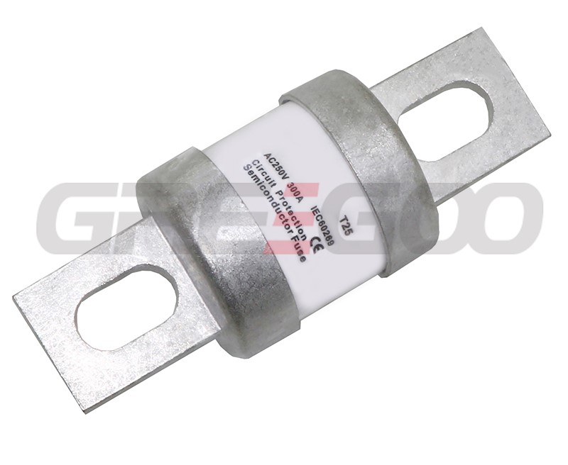 A25 300A Semiconductor Fuse.jpg