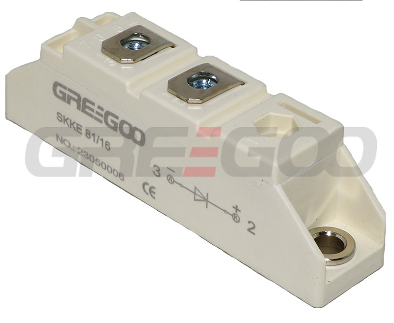 SKKE 81 single diode module semikron type