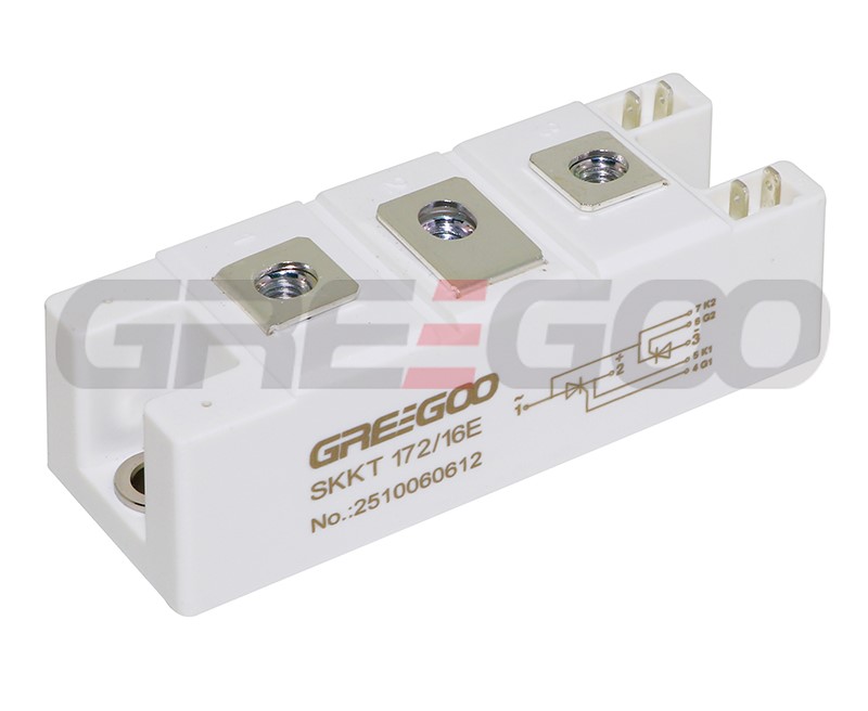 SKKT172-16E dual thyristor module