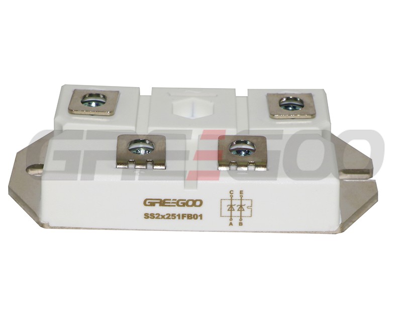 SS2x251FB01 Schottky Diode Module