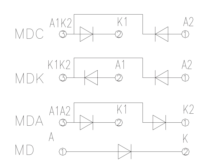 circuit of dual diode module